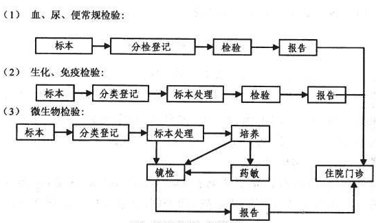 图1 检验科的工作流程
