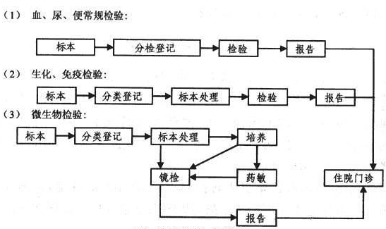 图1  检验科的工作流程 