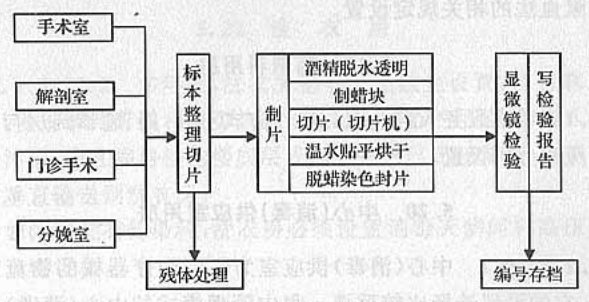 图2 病理科功能关系