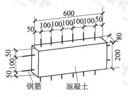 图9  试样的构造和尺寸