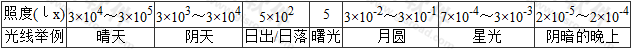 表1  一般画面的典型照度