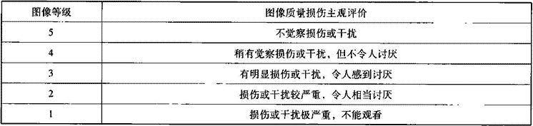 表11.1.3  五级损伤制评定图像等级