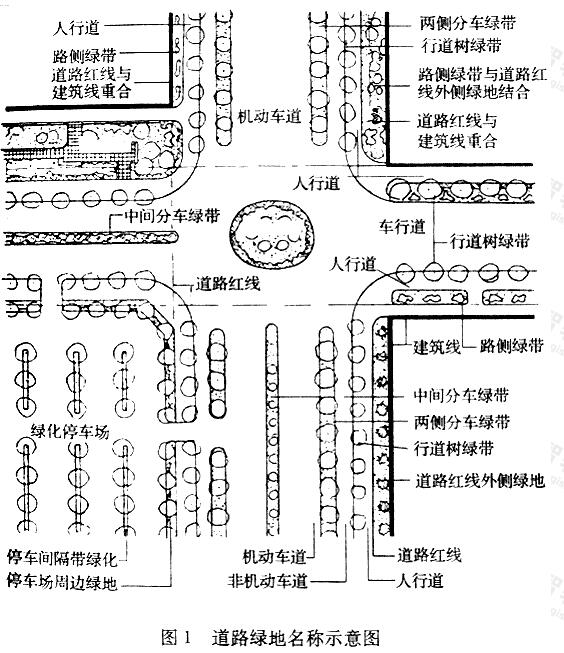 道路绿地名称示意图