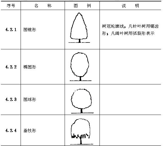 树冠形态