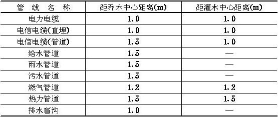 树木与地下管线外缘最小水平距离