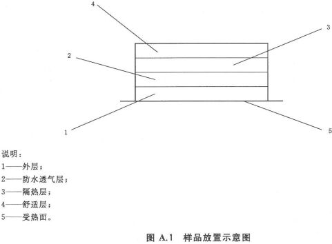 样品放置示意图